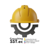 consulting sst para redes